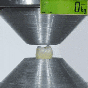 cfb83d934bbfad7d01fa48e94aa231c1_1609747268_9275.gif