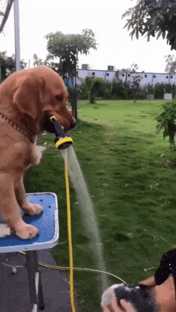04f1e33e4ff7b2854de86c3e259e0039_1640311657_2267.gif