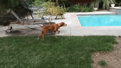 1028593842_pyfbvd9V_ad16679bb1ad2bbd2fa53c5730da4fc5552bfc80.gif
