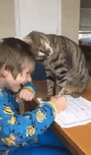 2887389385_ECwGPpDM_fbe1fe6049038dd60911f807be464b57efee2fb6.gif