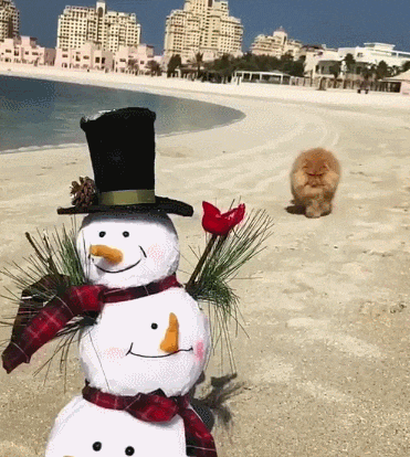 2887389385_S2iuX4Z5_b83da899b41f07ebbcd02cbf587af64fee5b4cd4.gif