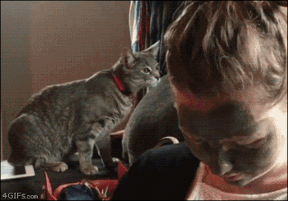 2949071759_Gwp6frSJ_1a02ca2f221d10a22eadee323ec8ad39bdbf3c40.gif