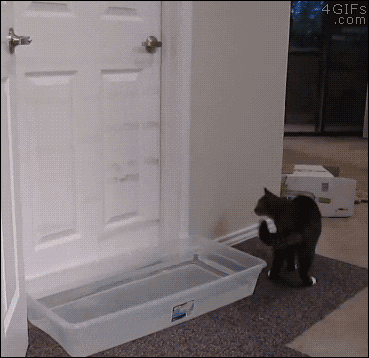 2949071759_acXo7nH3_b28a5d4f7e459d00a74b329212359e4210b20949.gif