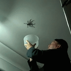 991354760_oNHhecPy_71e8e9e65e4fcb3f45cbd6e3ea36b4385b44a2cd.gif