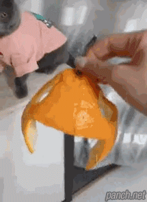 2949071780_ZKinCWpx_02a4d5ae5a92c6948d5740ef5ff62e97c8122dba.gif