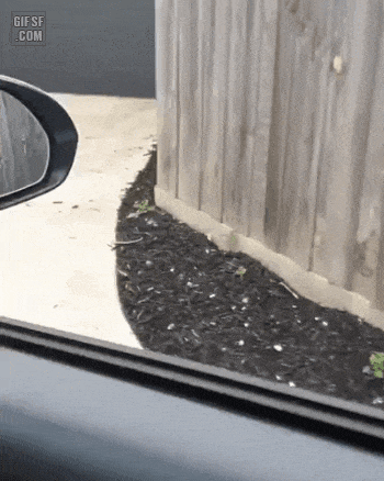 1889569699_EPtxTsXC_226d612e497d7dc9933243e7d3cf7b604c191835.gif