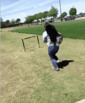 1889569699_EaNT8nRY_6c8a4111dadc2ee53ec7d3bf5c7d8d9ffa94d9cc.gif