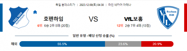 호펜하임 보훔 분석 12월9일 분데스리가