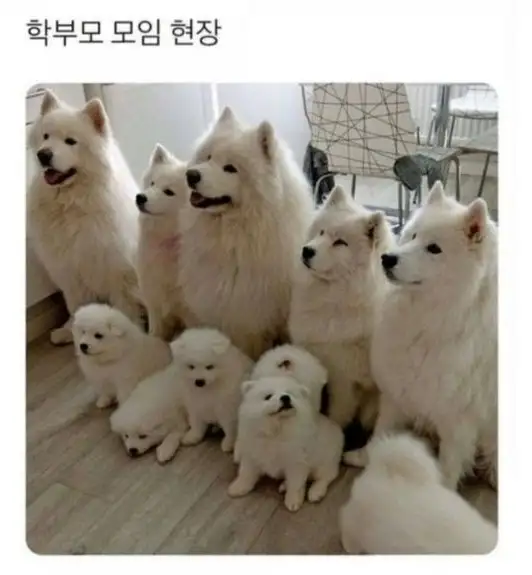 학부모들의 모임
