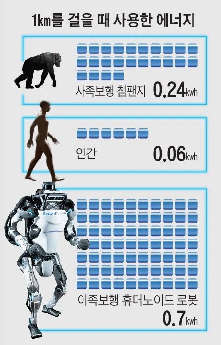 걷기로 살빼기 빡신
