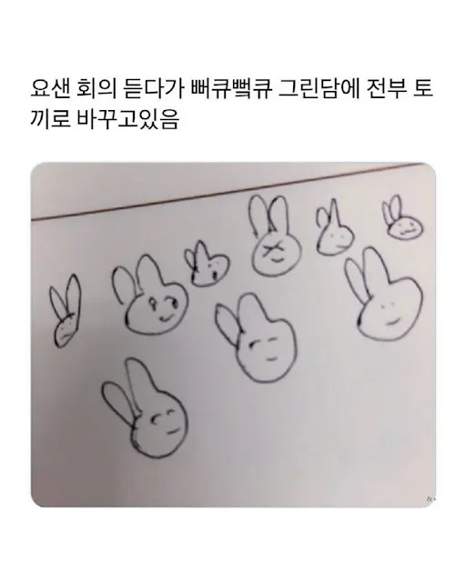 뻐큐가 토끼가되는