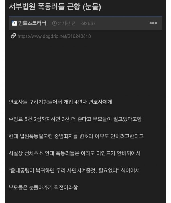 서부지법 폭도