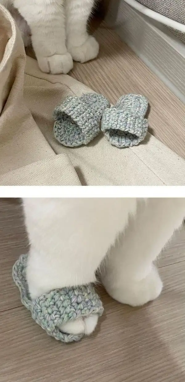 냥이용 슬리퍼