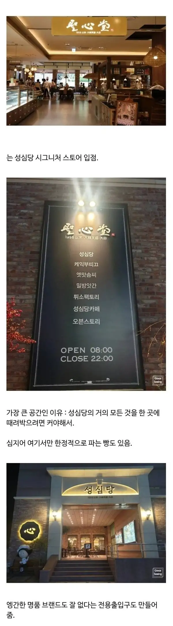 식물  갤