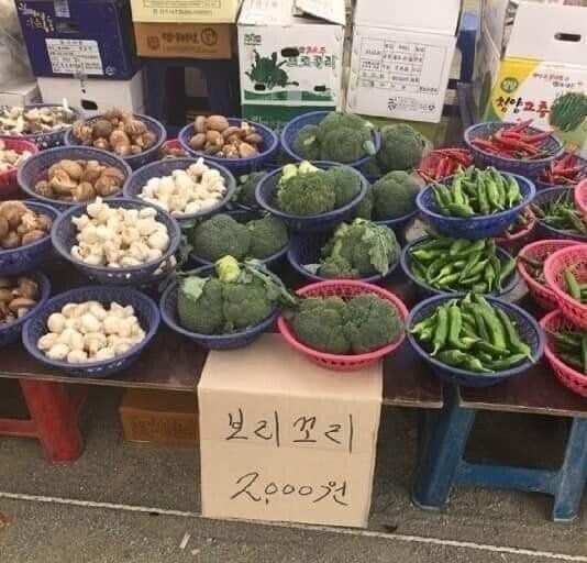 어르신들의 브로콜리