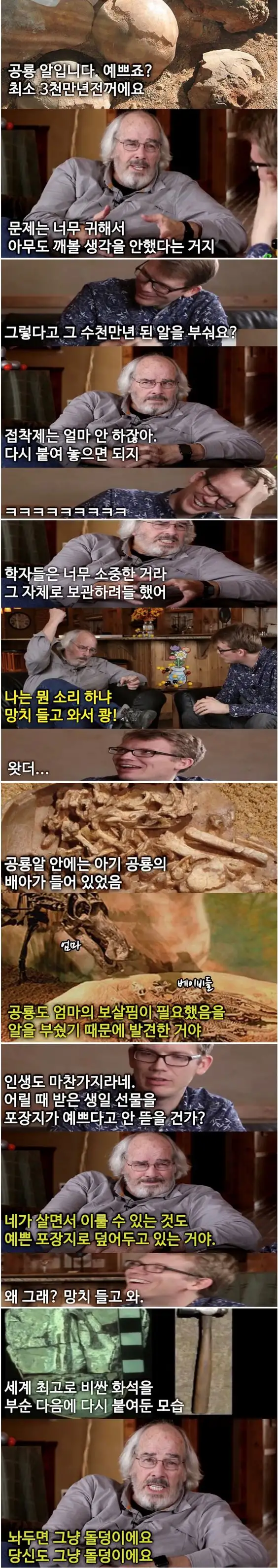 수 천 만년 된 공룡알을 깨본사람