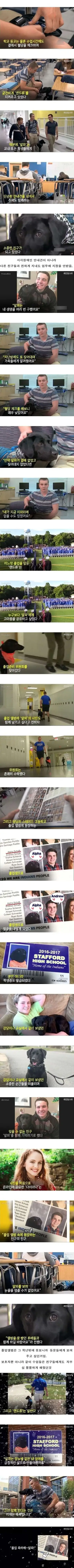 ㅁㄱ 고등학교 졸업앨범에 실렸던 댕댕쓰