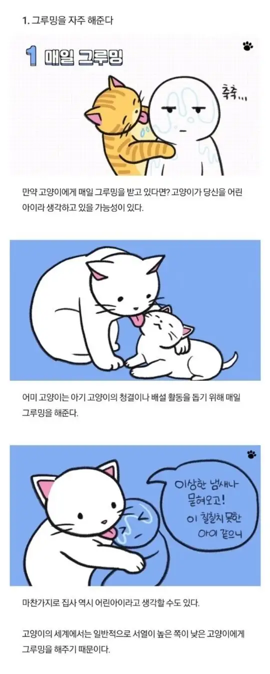 냥이가 나를 아가로 볼때 한다는 ㅎㄷ