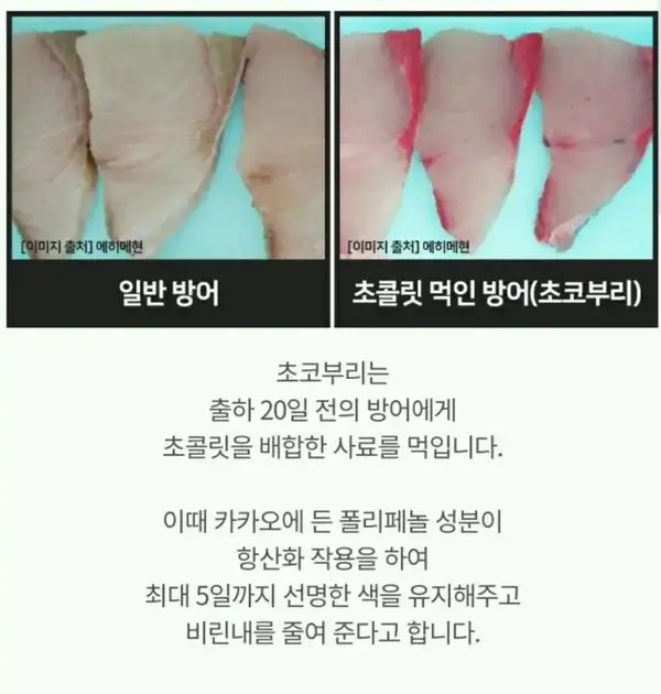방어가 ㅊㅎ되기전