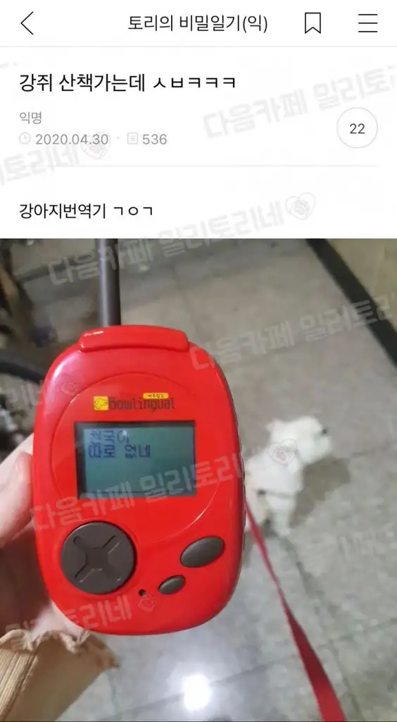 성능 굿 ㄷㄷ 댕번역기