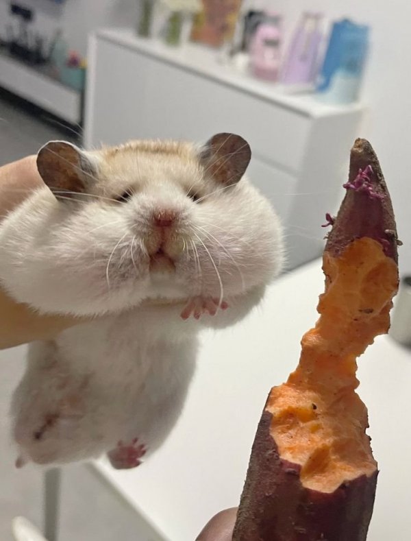 양볼 한가득