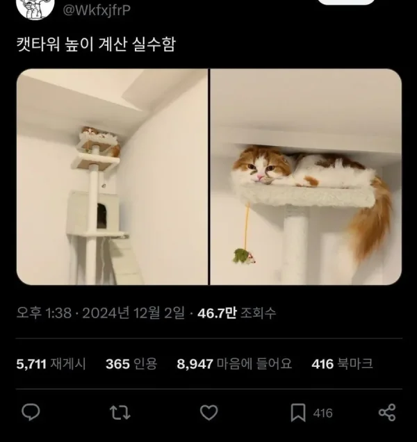 실수했는데 고양이가