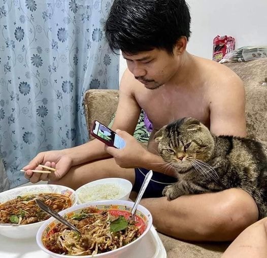 냥이에게 남편을 빼앗긴 아내 ㅋㅋㅋ