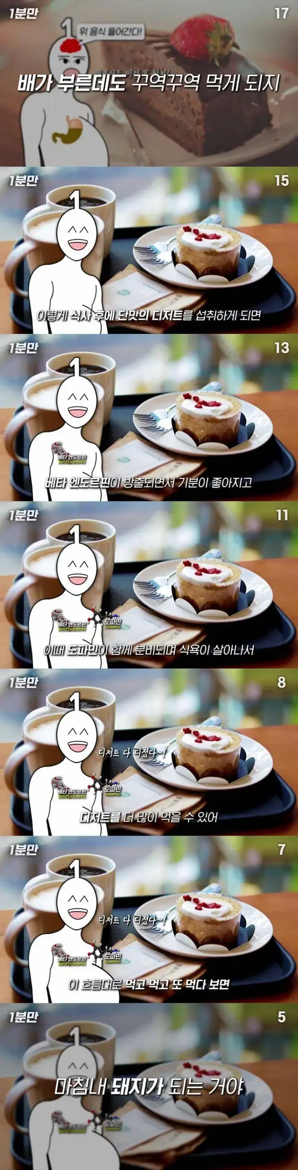 디저트 배 따로 있는