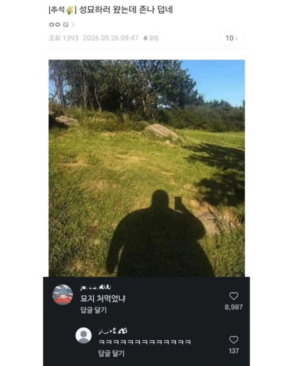 논란중인 성묘 인증
