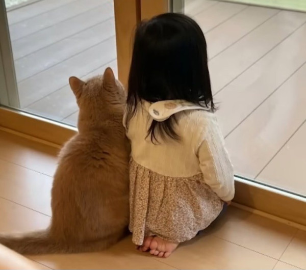 귀여운사진보고가세요