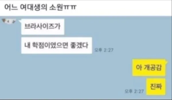 어느ㅇㄷ생의 ㅅㅇ