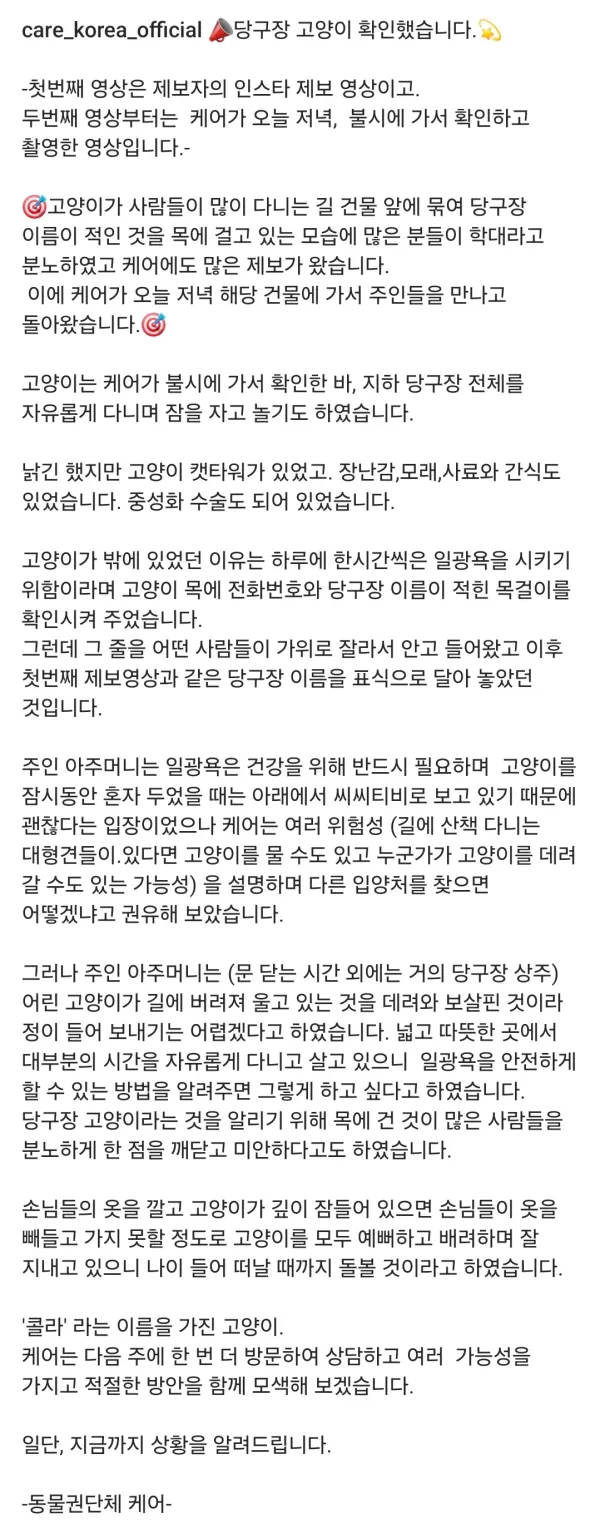 오해였던 당구장 냥이의