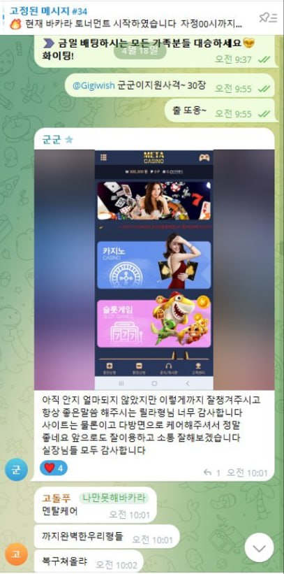 ✨✨8,9년 째 무사고 메이저 가족, 실베터 모집 미친케어 보장