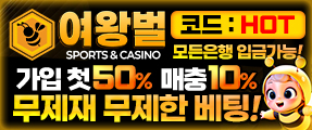 모든 게임 제재없는 토토사이트 여왕벌